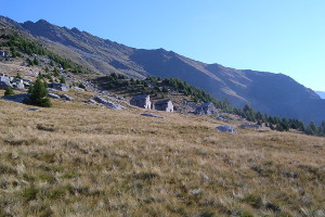 Alpe di Prou