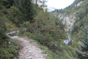 Sentiero che scende dall'Alpe di Sfii