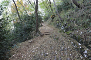 Sentiero che sale al Monte San Salvatore