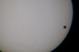 Transito di Venere