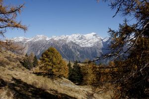 Adula in autunno