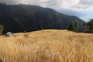 Prati secchi all'Alpe Stavascio