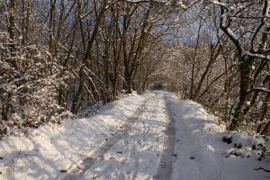 Strada innevata