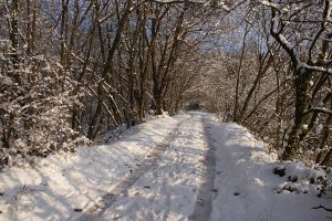 Strada Innevata