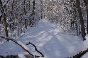 Strada innevata
