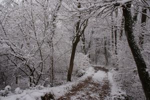 Strada innevata
