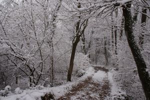 Strada Innevata