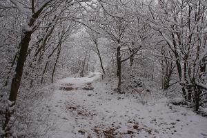 Strada innevata