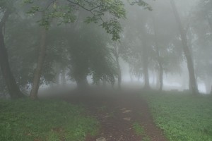 Vetta nella nebbia