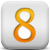Seite 8
