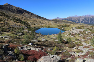 Laghetto di Cava Basso