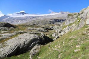 Sentiero verso il Basòdino