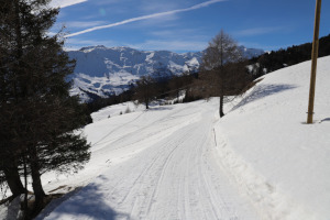 Strada per Marzanéi