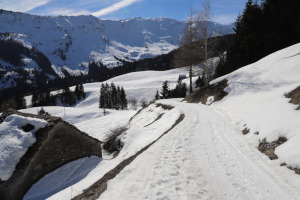 Strada per Oncedo