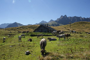 Capanna Garzonera