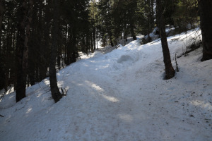 Sentiero innevato