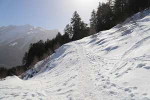 Sentiero innevato