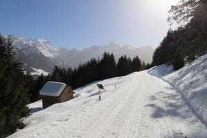 Strada innevata