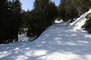 Strada innevata