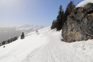 Strada innevata