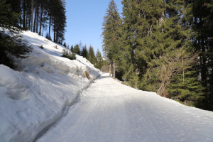 Strada innevata