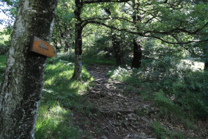 Sentiero che sale alla Capanna La Ginestra Sentiero che sale alla Capanna La Ginestra