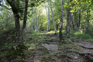 Sentiero che sale alla Capanna La Ginestra Sentiero che sale alla Capanna La Ginestra