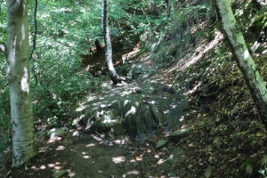 Sentiero verso Gola di Lago Sentiero verso Gola di Lago