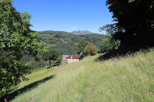 Sentiero verso Zalto Sentiero verso Zalto