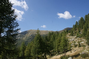 Pilone