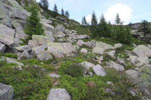 Sentiero che sale a Corte di Cima