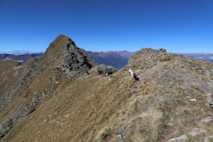 Cresta verso la Cima di Lago Cresta verso la Cima di Lago