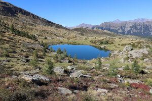 Laghetto di Cava Basso Laghetto di Cava Basso