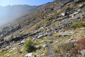 Sentiero che sale al Passo del Mauro Sentiero che sale al Passo del Mauro