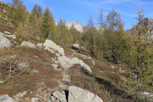 Sentiero che sale a Corte di Cima