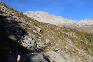 Sentiero che sale a Corte di Cima