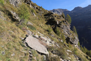 Sentiero che sale a Corte di Cima