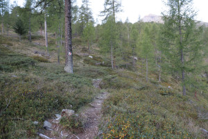 Sentiero che sale all'Alpe di Sceru