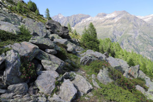 Sentiero che scende all'Alpe di Sceru