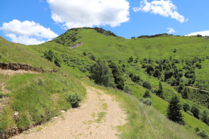 Cima di Fojorina