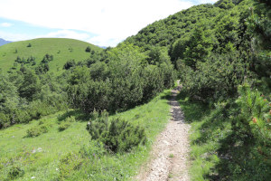 Sentiero verso la Bocchetta di San Bernardo