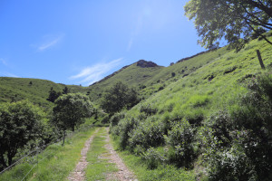 Strada verso l'Alpe Pianca Bella