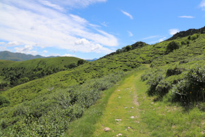 Strada verso la Bocchetta di San Bernardo