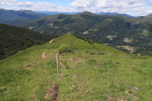 Traccia che scende all'Alpe Pianca Bella