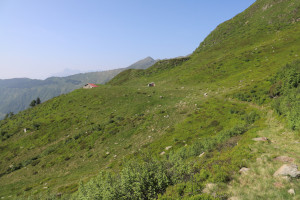 Alpe a quota 1761 metri