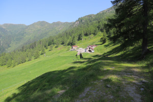 Alpe di Giumello