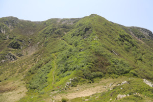 Cima Verta e Bocchetta di Sommafiume