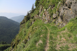 Sentiero che porta all alpe a quota 1761 metri
