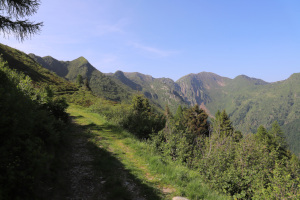 Strada che sale all'alpe a quota 1761 metri