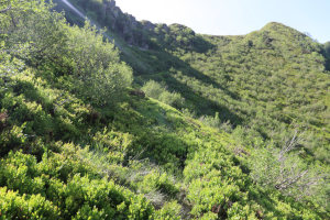 Via di salita alla Bocchetta di Albano